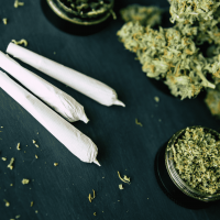 cannabis-joints-plant-medicine-quiz.png